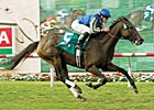 Horse of the Year Arravale Retired Horse of the Year Arravale Retired