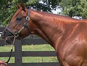 Article of Faith, Ocean Indy Retire Article of Faith, Ocean Indy Retire