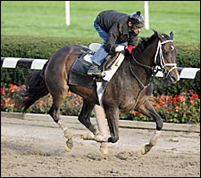 Narrow Window of Opportunity Leads to Busy Morning at Belmont Park Narrow Window of Opportunity Leads to Busy Morning at Belmont Park
