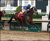 2004 Eclipse 3YO Female: Ashado 2004 Eclipse 3YO Female: Ashado