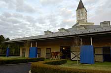 Ashford Announces 2008 Stud Fees Ashford Announces 2008 Stud Fees