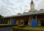 Ashford Announces 2008 Stud Fees