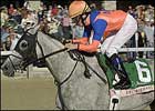 Grade I Winner Asi Siempre Retired, Consigned to Fasig-Tipton November Grade I Winner Asi Siempre Retired, Consigned to Fasig-Tipton November