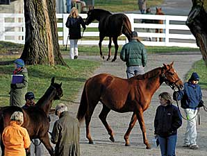 Steroid Policy Implemented at Sales Steroid Policy Implemented at Sales