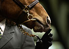 Unbridled Mare Leads Way in Mixed Portion of Louisiana Sale Unbridled Mare Leads Way in Mixed Portion of Louisiana Sale