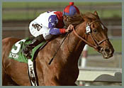 Santa Anita Race Report: Be Wary of Azeri Santa Anita Race Report: Be Wary of Azeri