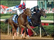 Horse of the Year Azeri Posts Game Apple Blossom Victory Horse of the Year Azeri Posts Game Apple Blossom Victory