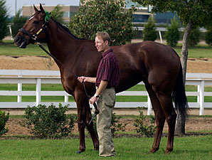 Keeneland Opens 2009 With Azeri Keeneland Opens 2009 With Azeri
