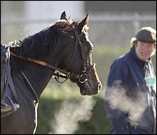 Thursday Report: Final Preps for Some Breeders' Cup Horses Thursday Report: Final Preps for Some Breeders' Cup Horses
