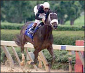 Balto Star Leads Field for Appleton Balto Star Leads Field for Appleton