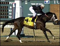 Haskin's Derby Report: A Valentine for Zito and a Shooting Star at Turfway Haskin's Derby Report: A Valentine for Zito and a Shooting Star at Turfway