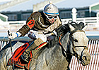 Bandbox Wins at Laurel in Eye-Catching Rally Bandbox Wins at Laurel in Eye-Catching Rally