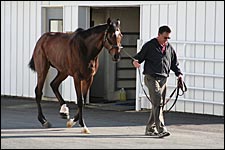 Barbaro Update: Podiatry Specialist Examines Derby Winner Barbaro Update: Podiatry Specialist Examines Derby Winner