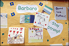 Belmont Patrons Can Sign 'World's Largest Get Well Card' for Barbaro Belmont Patrons Can Sign 'World's Largest Get Well Card' for Barbaro