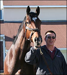 Barbaro Update (Friday): No Sign of Infection in Either Hind Leg Barbaro Update (Friday): No Sign of Infection in Either Hind Leg