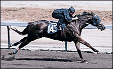 $1.9-Million Songandaprayer Colt Tops Barretts Sale $1.9-Million Songandaprayer Colt Tops Barretts Sale
