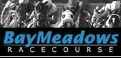 Could Pleasanton Replace Bay Meadows? Could Pleasanton Replace Bay Meadows?