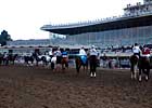 Hollendorfer Nabs 'Meadows Last Dance Hollendorfer Nabs 'Meadows Last Dance