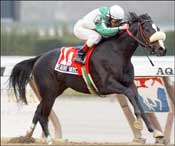 Lovely Amanda, Haggs Castle Take Stallion Stakes Lovely Amanda, Haggs Castle Take Stallion Stakes