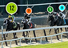 2013 Belmont Stakes Race Sequence 2013 Belmont Stakes Race Sequence