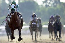 Steve Haskin's Belmont Story: Point Given Finally Sprouts Wings Steve Haskin's Belmont Story: Point Given Finally Sprouts Wings