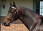Darley Australia's 2008 Fees Darley Australia's 2008 Fees