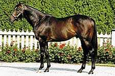 Castleton Lyons Prices Bernstein at $20,000 Castleton Lyons Prices Bernstein at $20,000