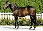 Castleton Lyons Prices Bernstein at $20,000