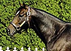 Bernstein's Fee Upped to $27,500 Bernstein's Fee Upped to $27,500
