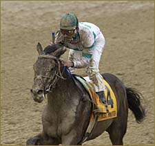 Best Minister Withdrawn from Belmont Stakes Best Minister Withdrawn from Belmont Stakes
