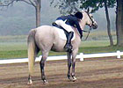 OTTB Spotlight: Xantra