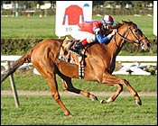 Wish Granted in Pebbles Handicap Wish Granted in Pebbles Handicap