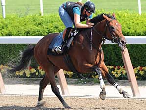 Big Brown in Sharp Work for Haskell Big Brown in Sharp Work for Haskell