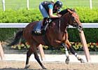 Big Brown in Sharp Work for Haskell