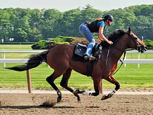 Big Brown Workout Gets a Thumbs-Up Big Brown Workout Gets a Thumbs-Up