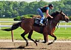 Big Brown Workout Gets a Thumbs-Up