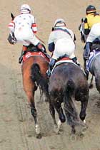 Brown Ran Race With Dislodged Shoe