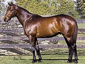 Birdstone Gets First Winner Birdstone Gets First Winner