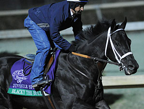 Secret Circle Juvenile Sprint Favorite Secret Circle Juvenile Sprint Favorite