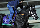 Secret Circle Juvenile Sprint Favorite