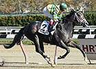 Unbeaten Blofeld Romps in Muddy Nashua Stakes Unbeaten Blofeld Romps in Muddy Nashua Stakes