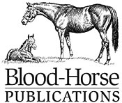 New Logo, Corporate Name for The Blood-Horse New Logo, Corporate Name for The Blood-Horse