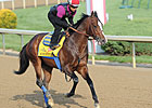 Minority Interest in Bodemeister Sold Minority Interest in Bodemeister Sold