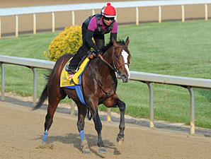 Bodemeister Drills 5 Furlongs at Churchill Bodemeister Drills 5 Furlongs at Churchill