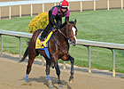 Bodemeister Drills 5 Furlongs at Churchill