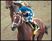 Belmont Race Report: Fast Track Belmont Race Report: Fast Track