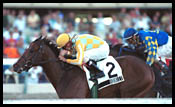 Gulfstream Park Race Report: By the Book Gulfstream Park Race Report: By the Book