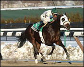 Lukas-Trained Boston Park Takes Whirlaway Stakes Lukas-Trained Boston Park Takes Whirlaway Stakes