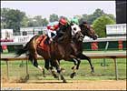 Brass Hat Sets Churchill Track Mark in Return Brass Hat Sets Churchill Track Mark in Return
