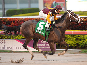Broadway's Alibi Makes Splash in Forward Gal Broadway's Alibi Makes Splash in Forward Gal